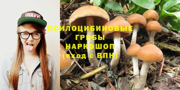 PSILOCYBIN Богородицк